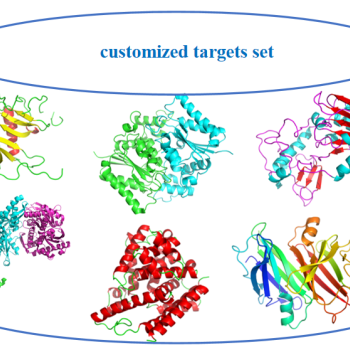 自定义靶标集的分子对接