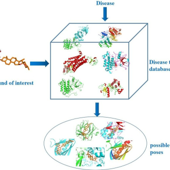基于特定疾病的分子对接